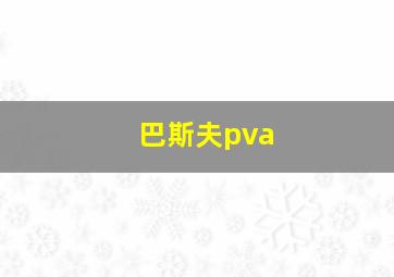 巴斯夫pva