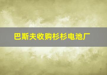 巴斯夫收购杉杉电池厂