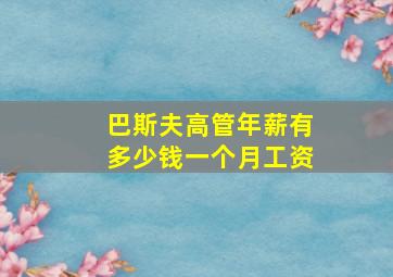 巴斯夫高管年薪有多少钱一个月工资