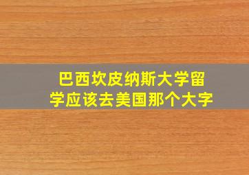 巴西坎皮纳斯大学留学应该去美国那个大字