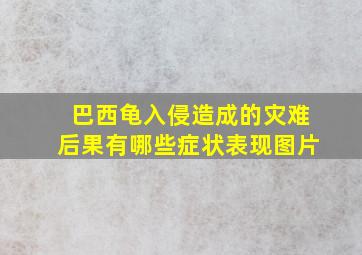 巴西龟入侵造成的灾难后果有哪些症状表现图片