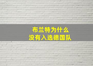 布兰特为什么没有入选德国队