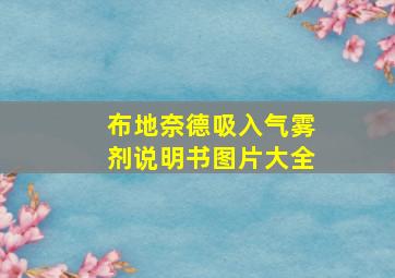 布地奈德吸入气雾剂说明书图片大全