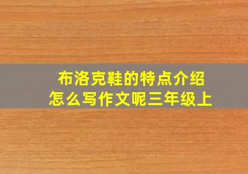 布洛克鞋的特点介绍怎么写作文呢三年级上