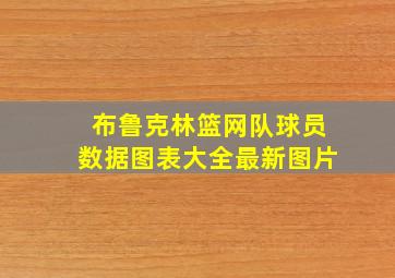 布鲁克林篮网队球员数据图表大全最新图片