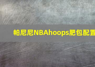 帕尼尼NBAhoops肥包配置