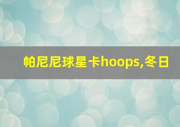 帕尼尼球星卡hoops,冬日