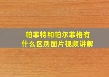 帕菲特和帕尔菲格有什么区别图片视频讲解