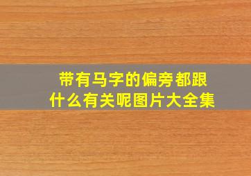 带有马字的偏旁都跟什么有关呢图片大全集