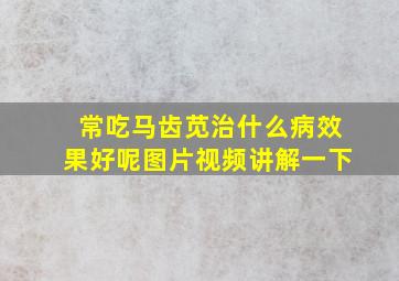 常吃马齿苋治什么病效果好呢图片视频讲解一下