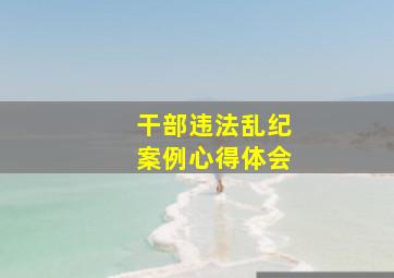 干部违法乱纪案例心得体会