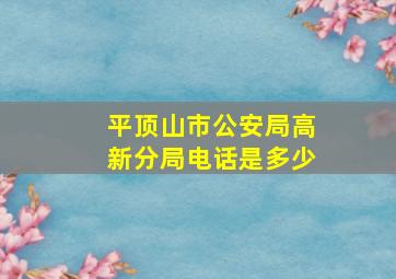 平顶山市公安局高新分局电话是多少