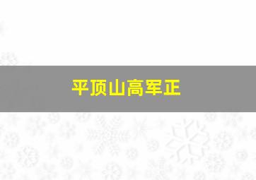 平顶山高军正