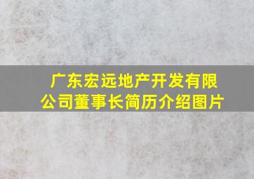 广东宏远地产开发有限公司董事长简历介绍图片