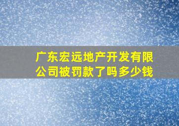 广东宏远地产开发有限公司被罚款了吗多少钱