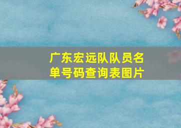 广东宏远队队员名单号码查询表图片