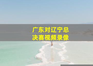 广东对辽宁总决赛视频录像