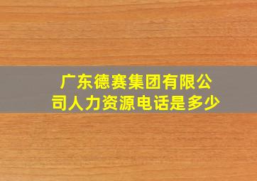 广东德赛集团有限公司人力资源电话是多少