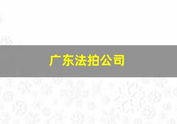 广东法拍公司