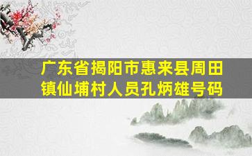 广东省揭阳市惠来县周田镇仙埔村人员孔炳雄号码