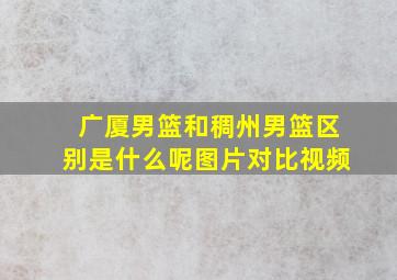 广厦男篮和稠州男篮区别是什么呢图片对比视频