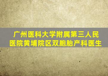 广州医科大学附属第三人民医院黄埔院区双胞胎产科医生