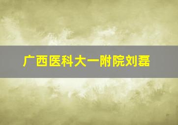 广西医科大一附院刘磊