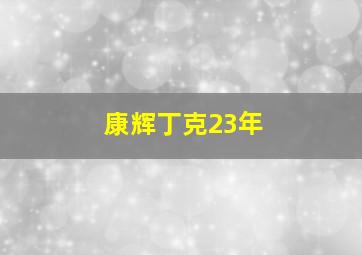 康辉丁克23年