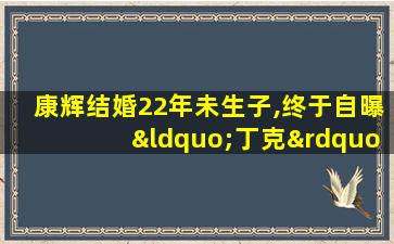 康辉结婚22年未生子,终于自曝“丁克”原因,原来是这样