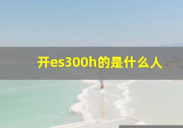 开es300h的是什么人