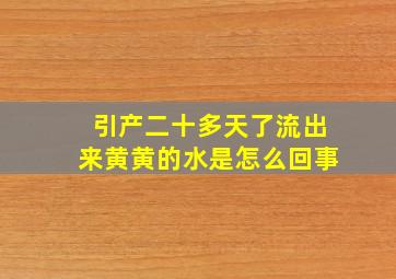 引产二十多天了流出来黄黄的水是怎么回事