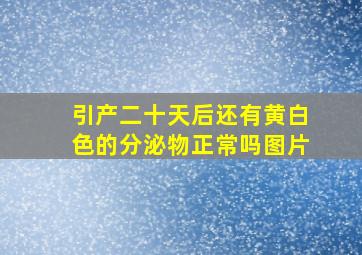 引产二十天后还有黄白色的分泌物正常吗图片