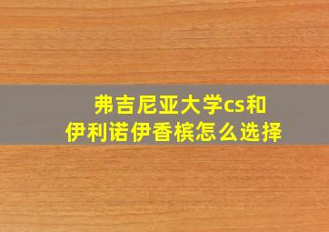 弗吉尼亚大学cs和伊利诺伊香槟怎么选择