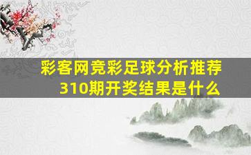 彩客网竞彩足球分析推荐310期开奖结果是什么