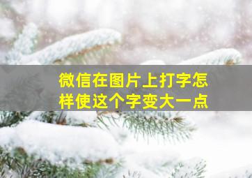 微信在图片上打字怎样使这个字变大一点