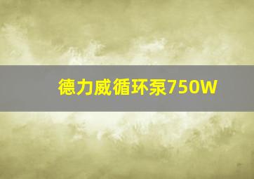 德力威循环泵750W