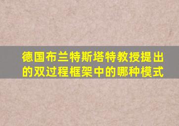 德国布兰特斯塔特教授提出的双过程框架中的哪种模式