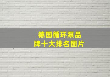 德国循环泵品牌十大排名图片