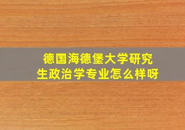 德国海德堡大学研究生政治学专业怎么样呀