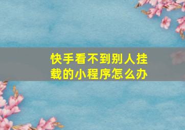 快手看不到别人挂载的小程序怎么办