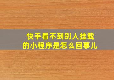 快手看不到别人挂载的小程序是怎么回事儿