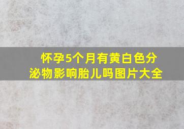 怀孕5个月有黄白色分泌物影响胎儿吗图片大全