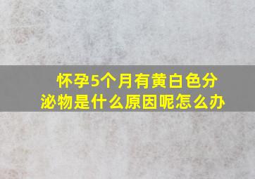 怀孕5个月有黄白色分泌物是什么原因呢怎么办