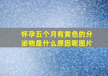 怀孕五个月有黄色的分泌物是什么原因呢图片