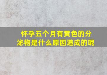 怀孕五个月有黄色的分泌物是什么原因造成的呢