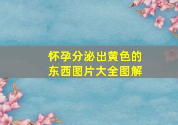 怀孕分泌出黄色的东西图片大全图解