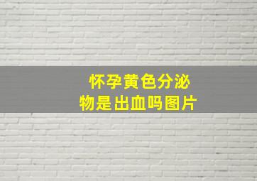 怀孕黄色分泌物是出血吗图片