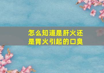 怎么知道是肝火还是胃火引起的口臭