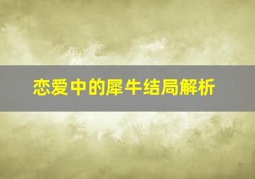 恋爱中的犀牛结局解析