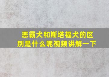 恶霸犬和斯塔福犬的区别是什么呢视频讲解一下